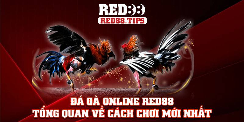 đá gà online red88 tổng quan về cách chơi mới nhất